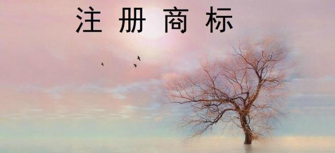公司需要商標注冊，該怎么做呢？